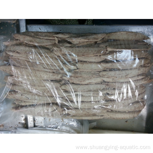 Bonito Tuna Loins 6Kg 7Kg